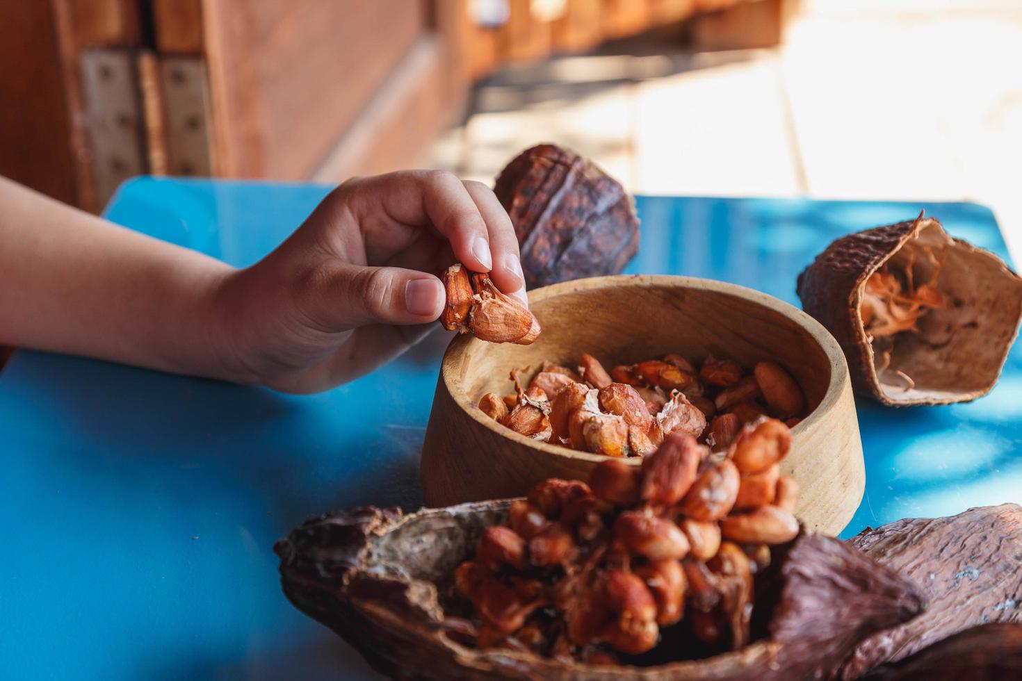 inspect cocoa beans for sorting photo