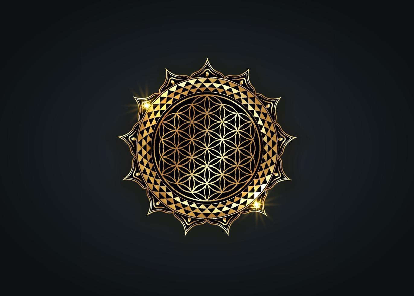 Flower of Life, Yantra Mandala in the lotus flower, Sacred Geometry vector