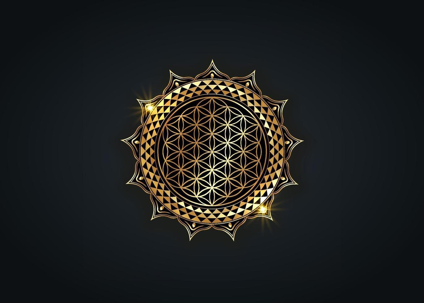 flor de la vida, yantra mandala en la flor de loto, geometría sagrada vector