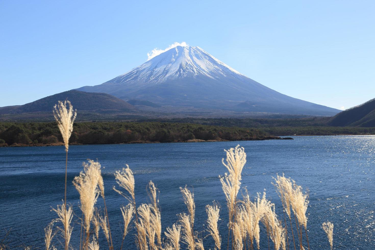 Mount Fuji and Lake Motosuko in Japan photo