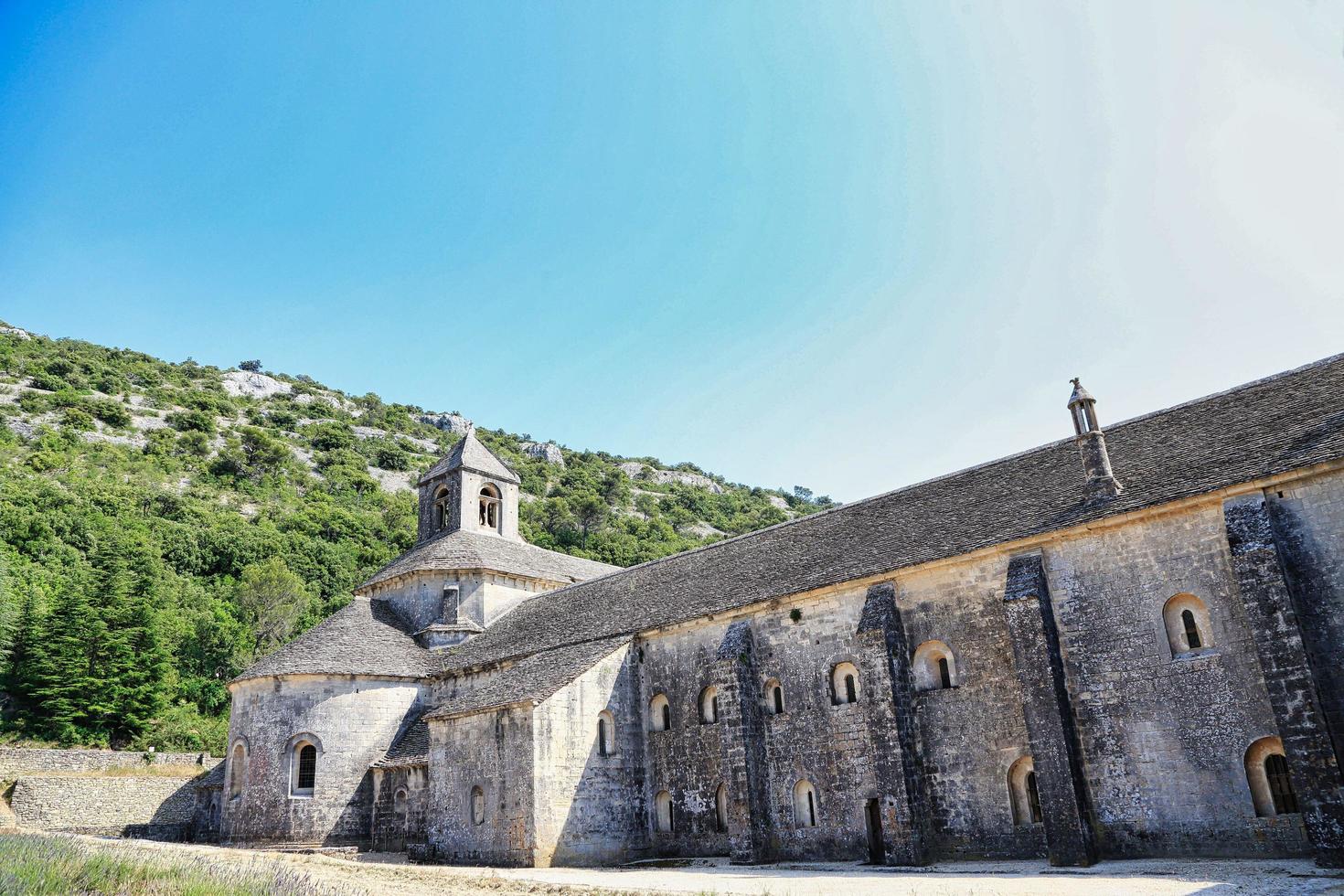 Lavender field at Senanque Abbey Gordes France photo