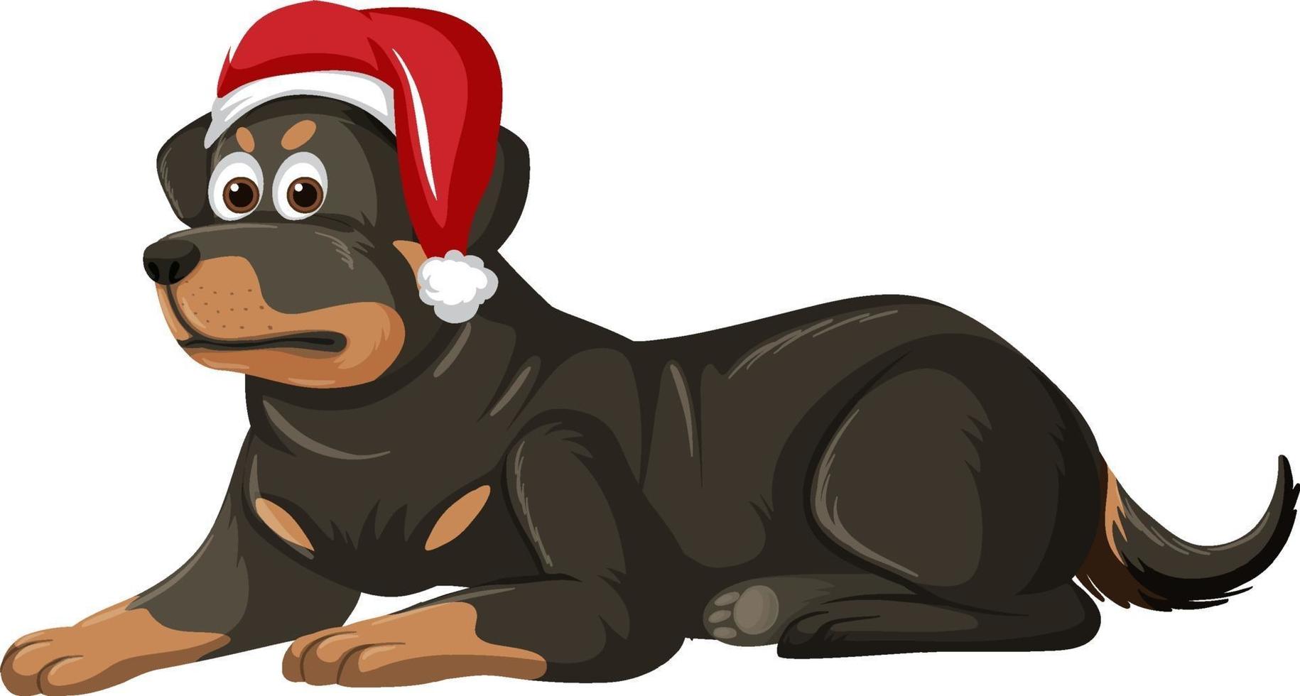 Rottweiler dog wearing Christmas hat cartoon character vector