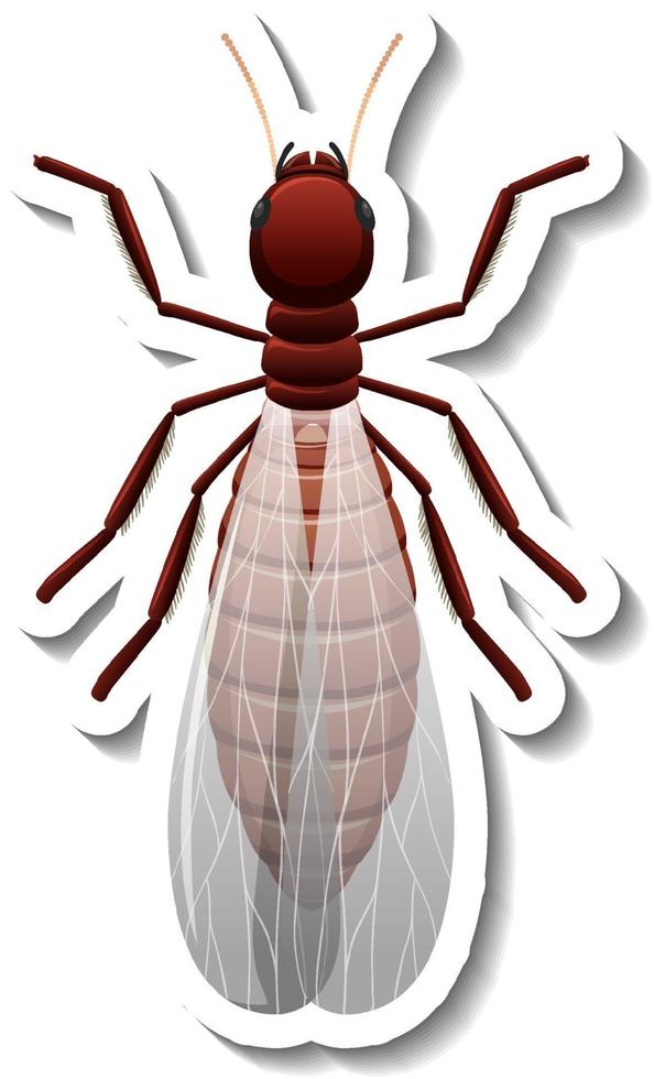 Sticker template with top view of winged reproductive termite isolated vector