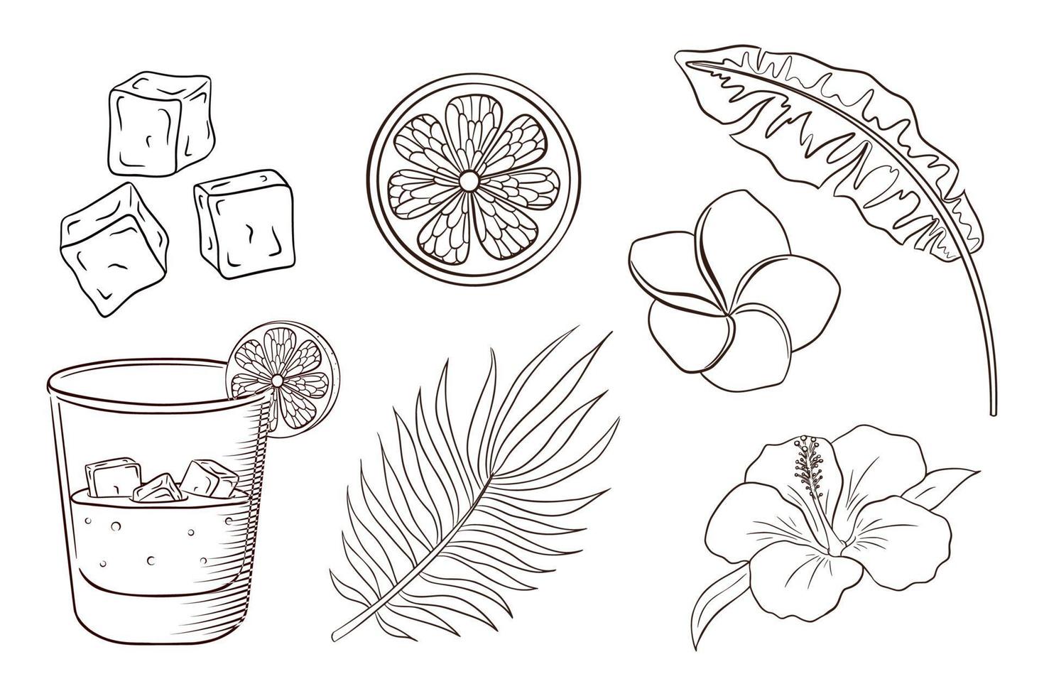 Whiskey and Soda Cocktail, Tropical Flowers and Leaves Coloring Page vector
