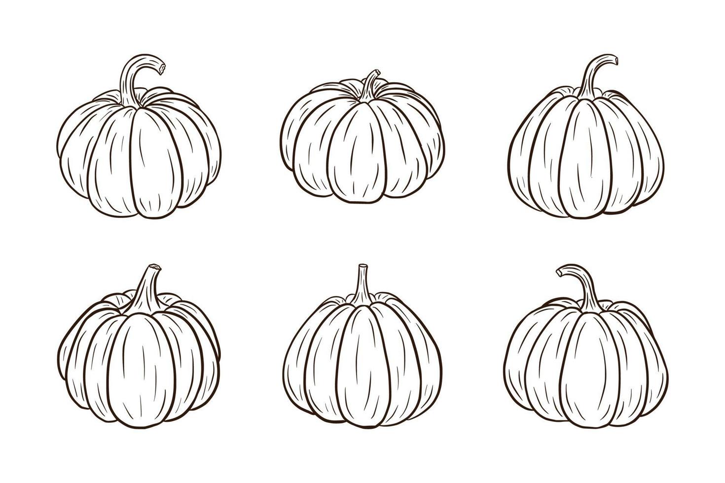 Pumpkin Illustrations Set vector