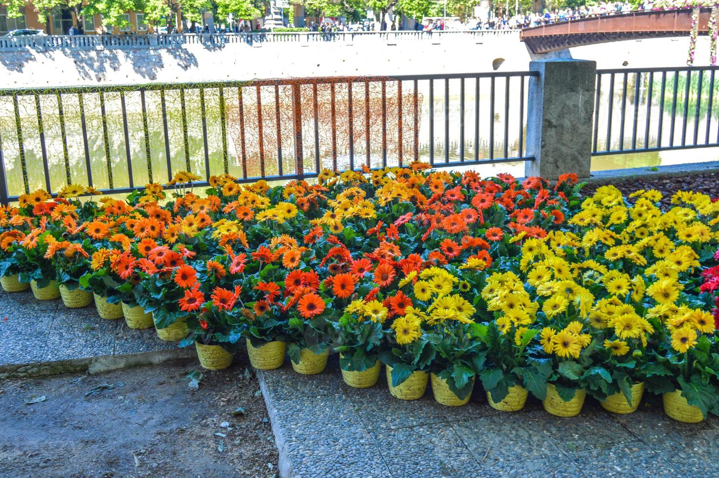 festival de las flores en girona temps de flors, españa. 2018 foto