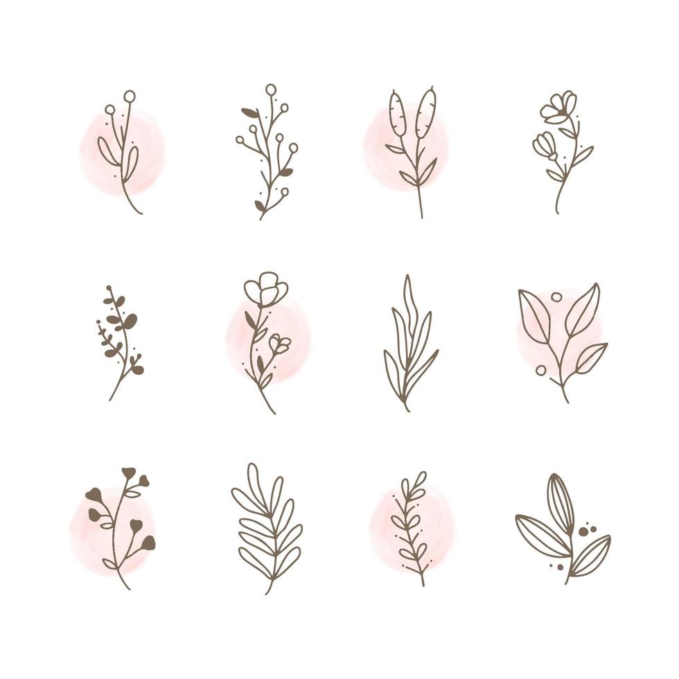 Set of Hand Drawn Floral Logo Elements vector