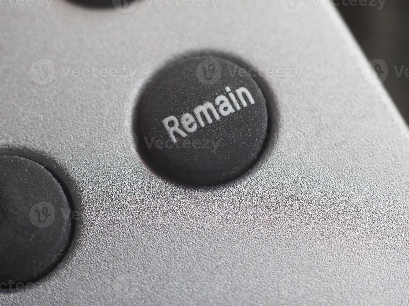 Remain button Brexit photo