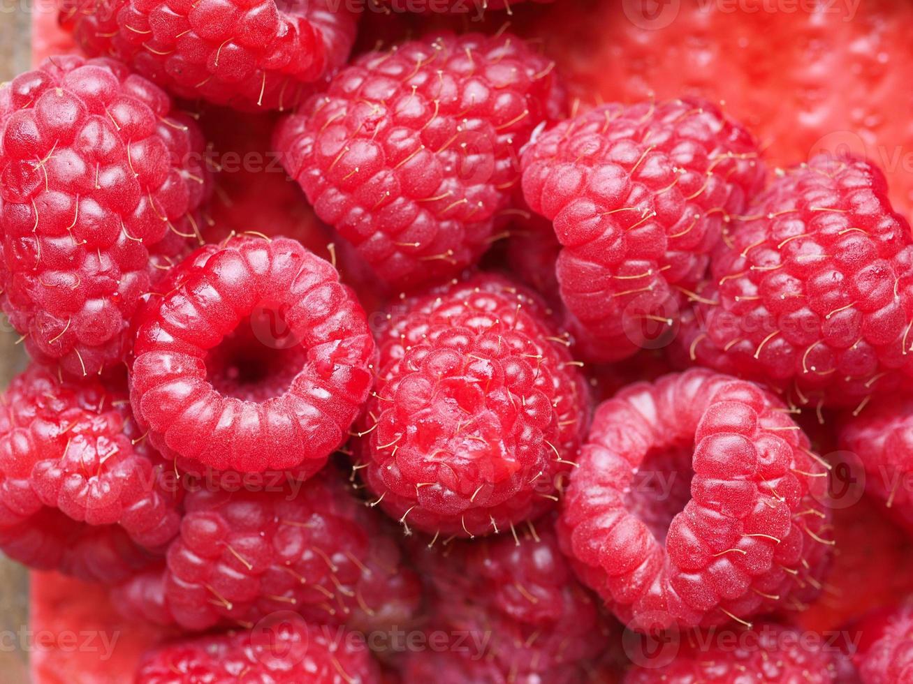 frambuesa roja, fruta de rubus idaeus foto