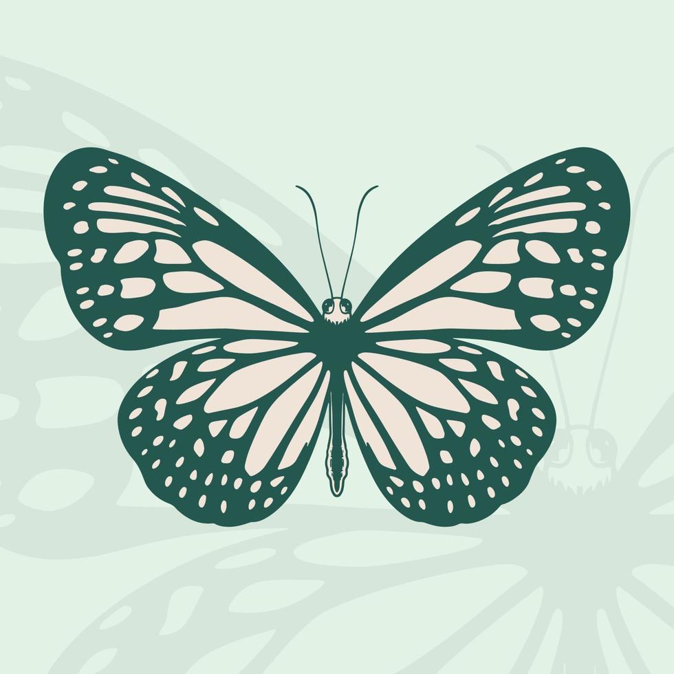 Hand drawn drawing of a butterfly vector
