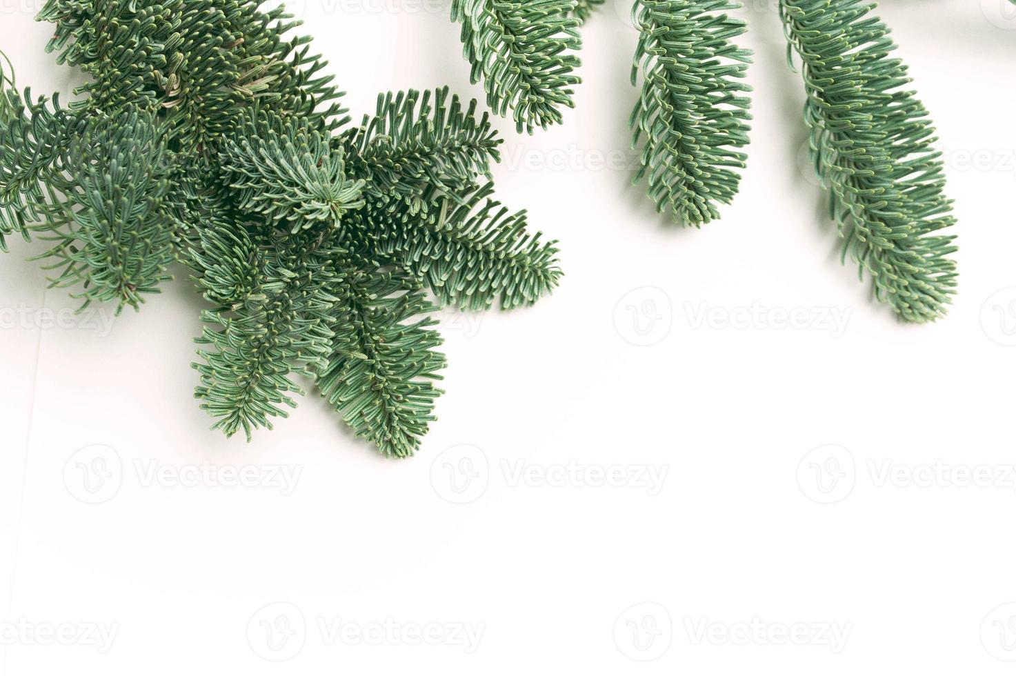 Christmas fir branches with place for your text photo