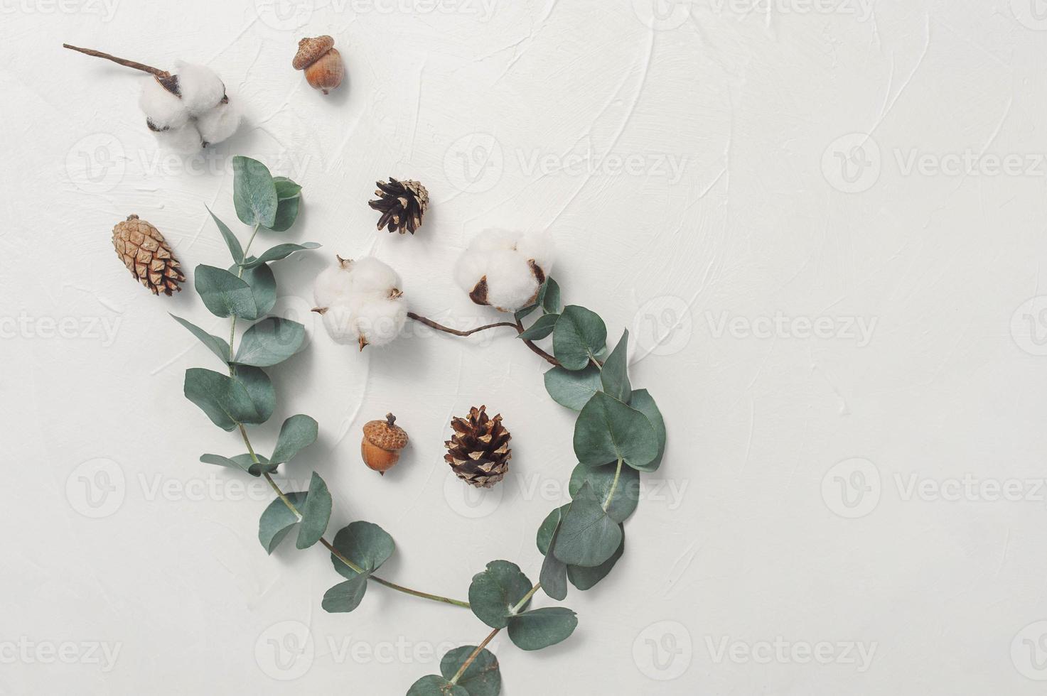 maqueta de otoño de hojas de eucalipto y planta de algodón foto