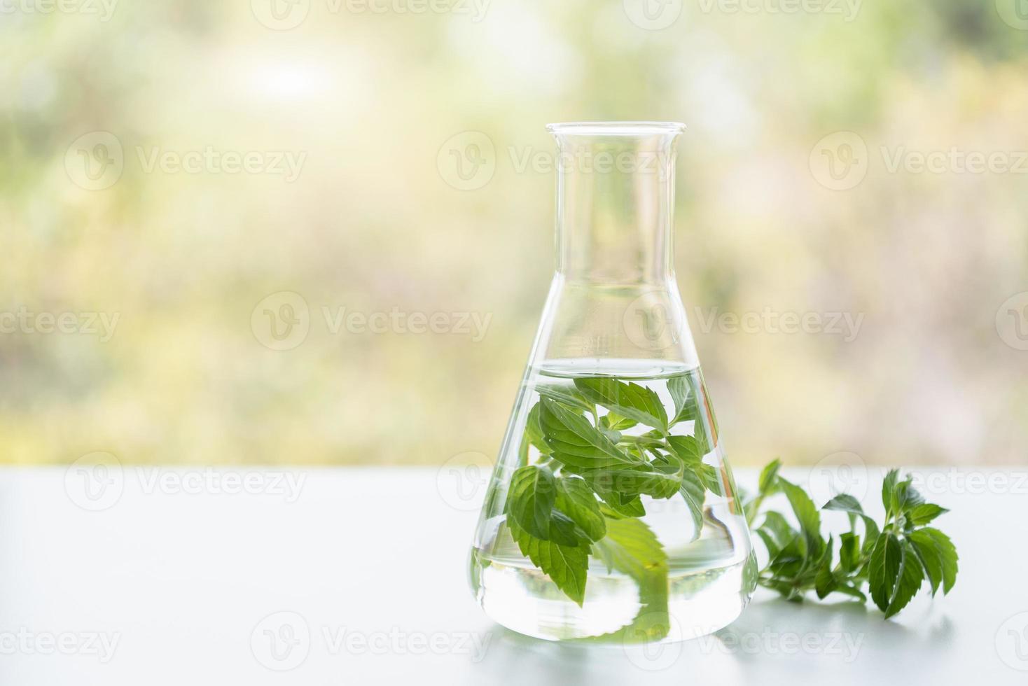 Tratamientos de spa de menta en la mesa de madera blanca foto