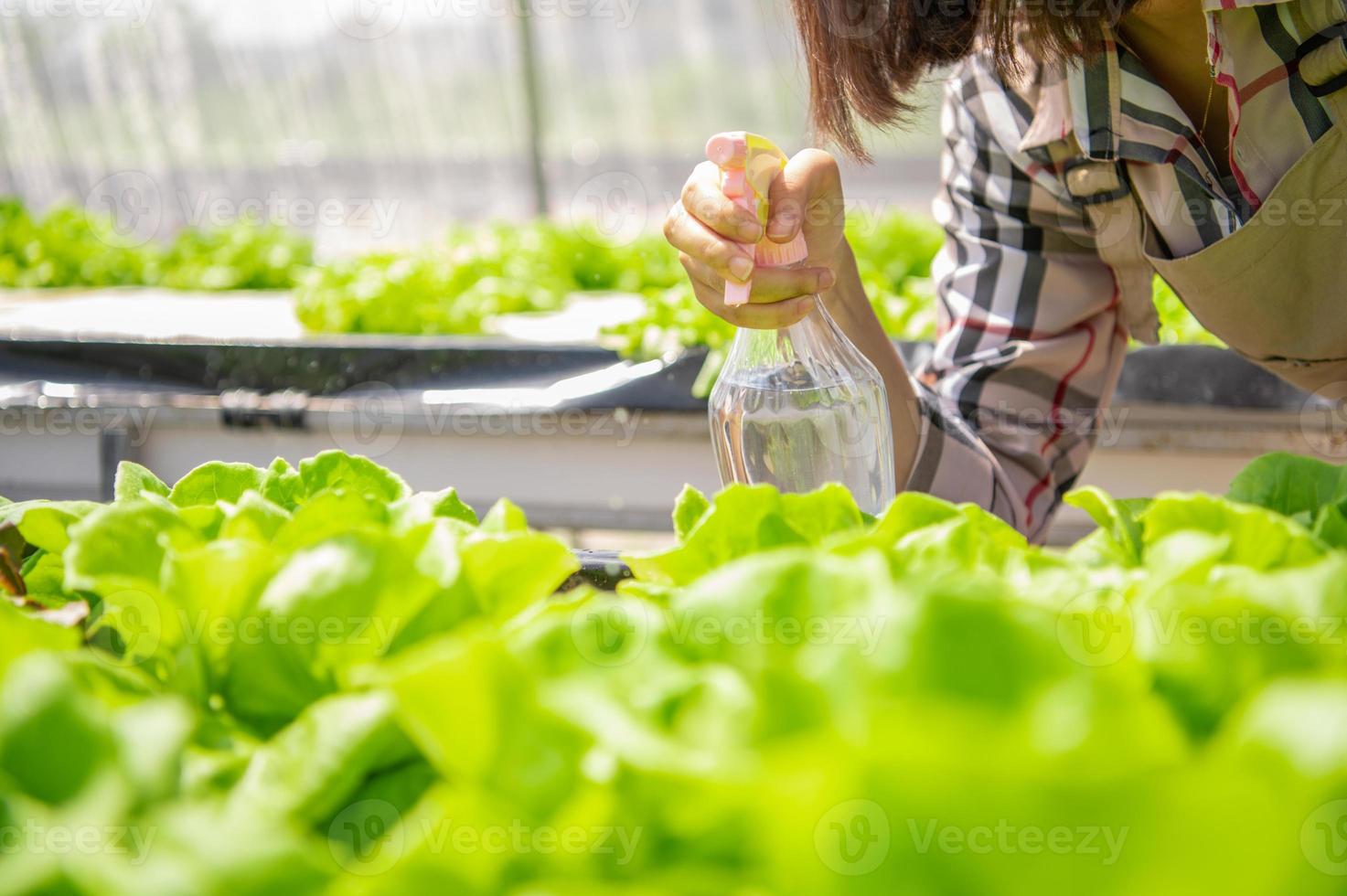 Primer plano de una botella de spray de agua neblinosa en la mano del agricultor rociar agua foto