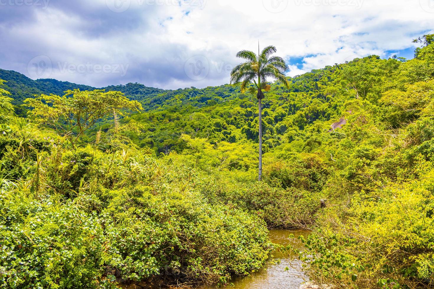 naturaleza tropical isla ilha grande playa de palmas playa brasil. foto