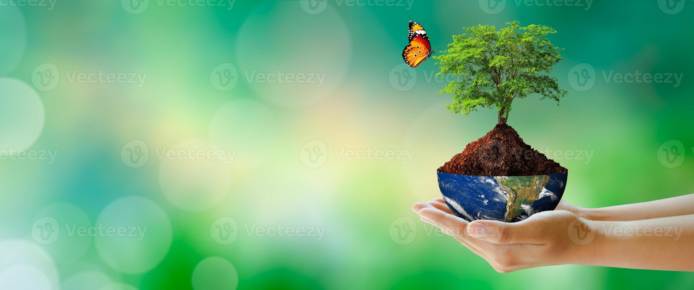 World earth day, Saving environment and World Ecology Concept. photo