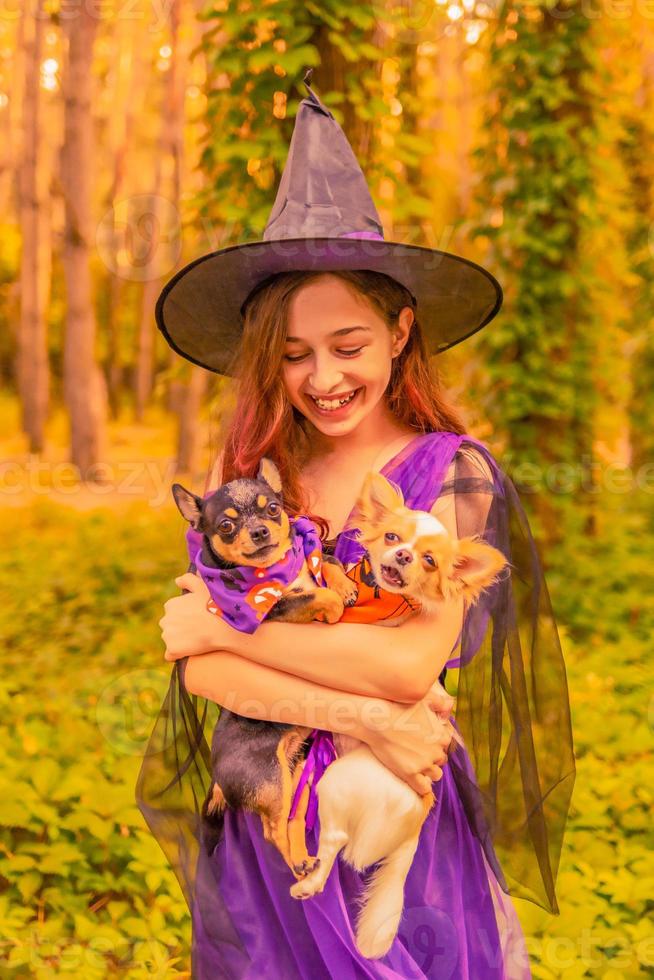 witch with dogs. girl in witch costume outdoors. Halloween. photo