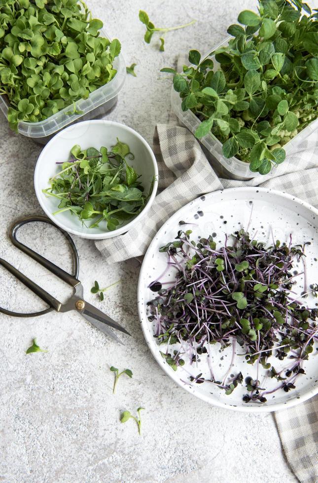 Surtido de micro greens en mesa de madera foto