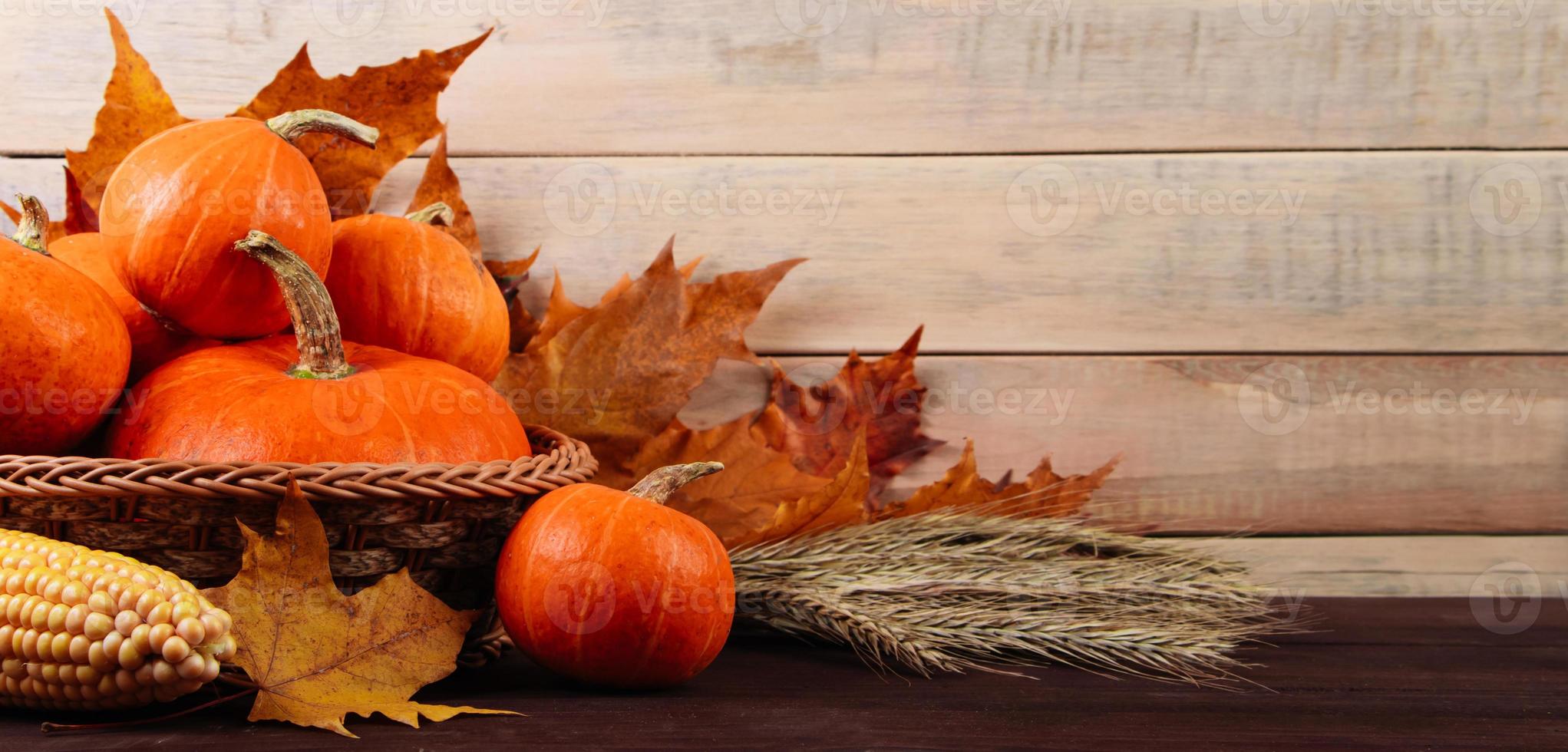 Autumn harvest and Thanksgiving. Ripe pumpkins, corn and wheat photo