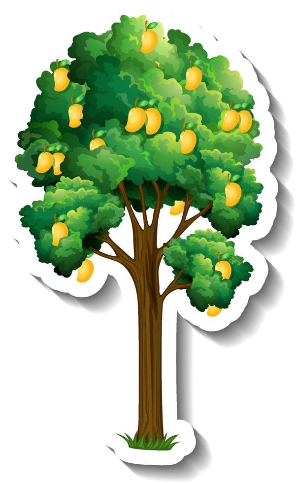 Mango tree sticker on white background vector