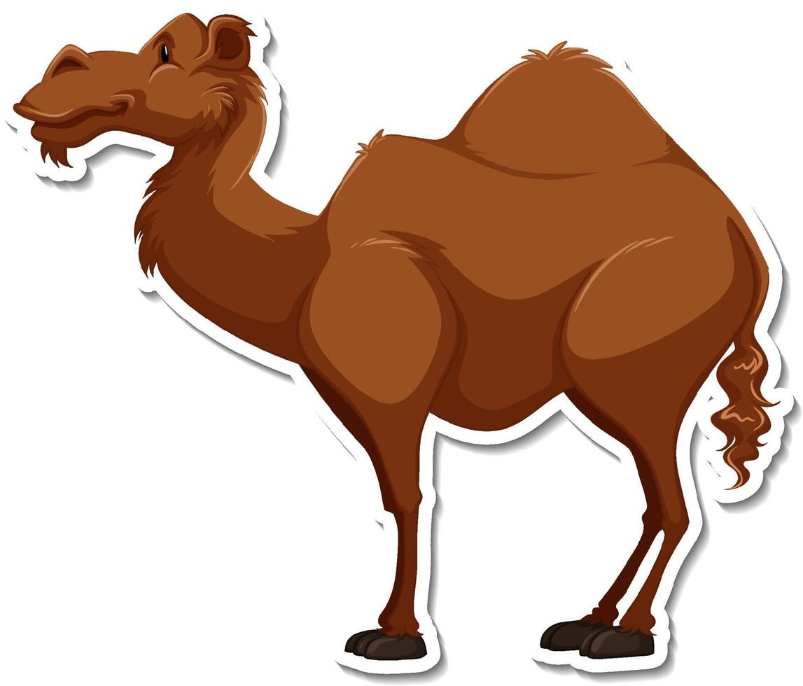 A sticker template of camel cartoon character vector