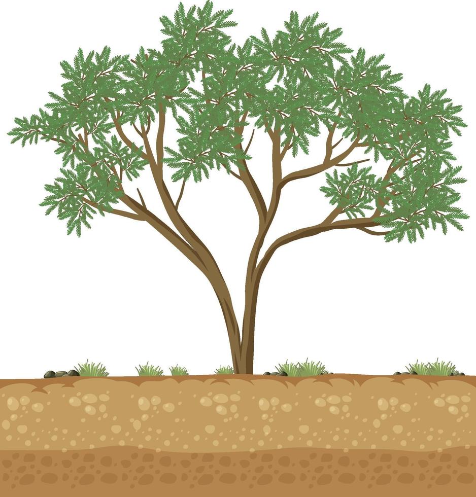 Big tree growing on solid soil vector