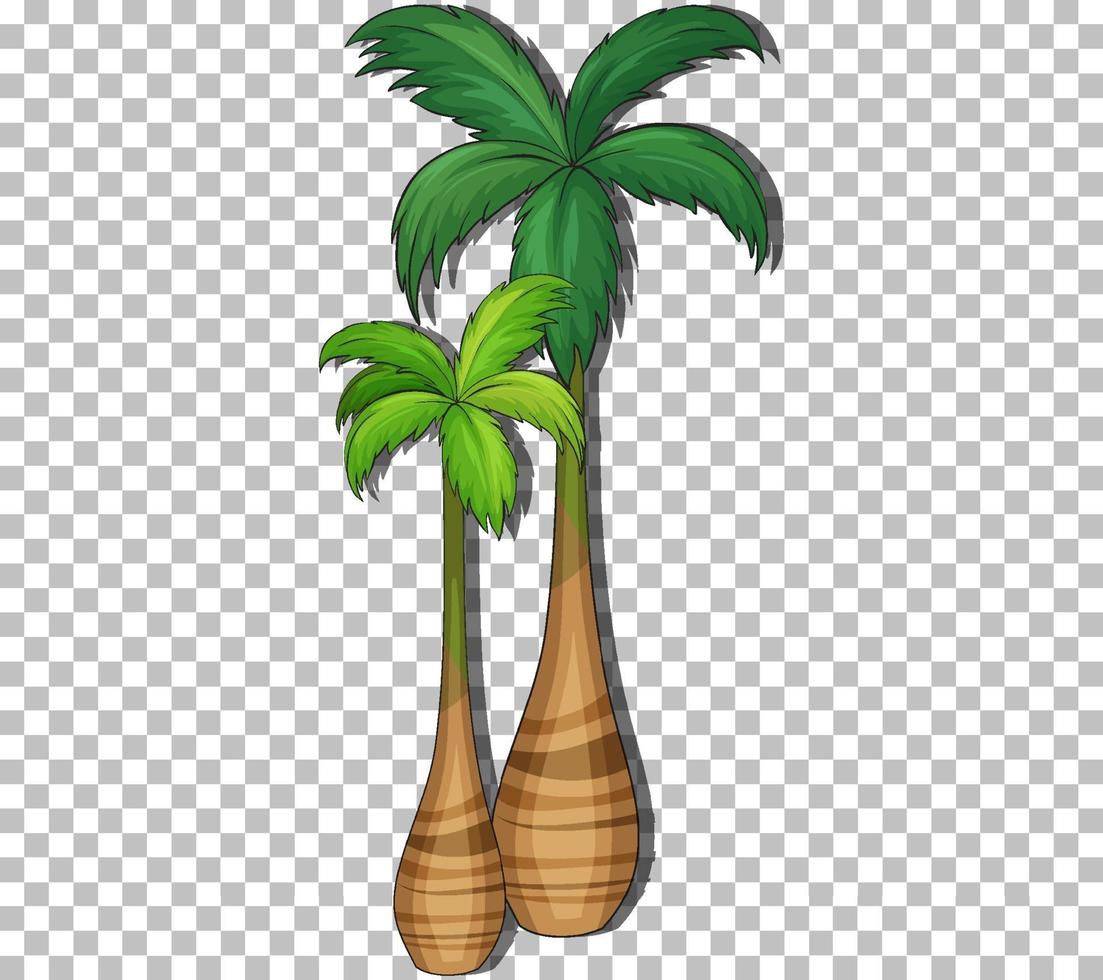 Palm tree isolated vector