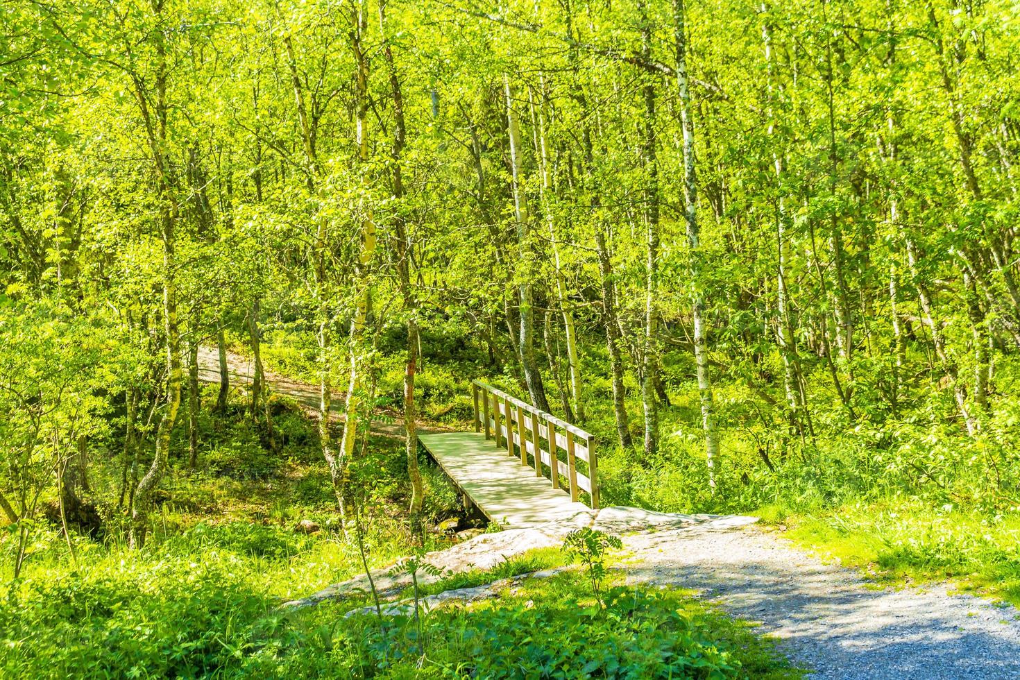 pequeño puente de madera y sendero sobre el río hemsedal noruega. foto