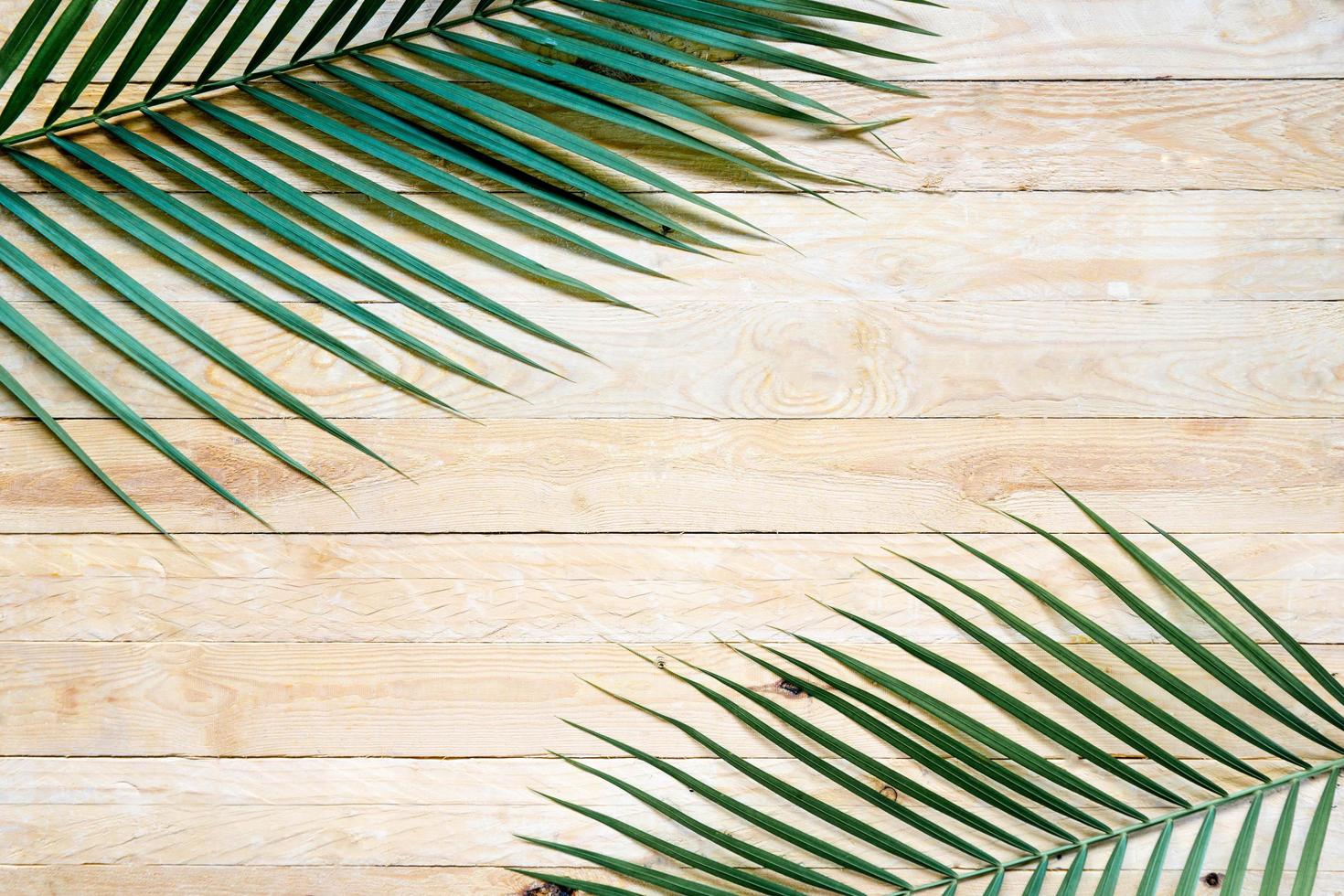 Hoja de palmera laicos plana sobre mesa de madera y marco de árbol con espacio de copia foto