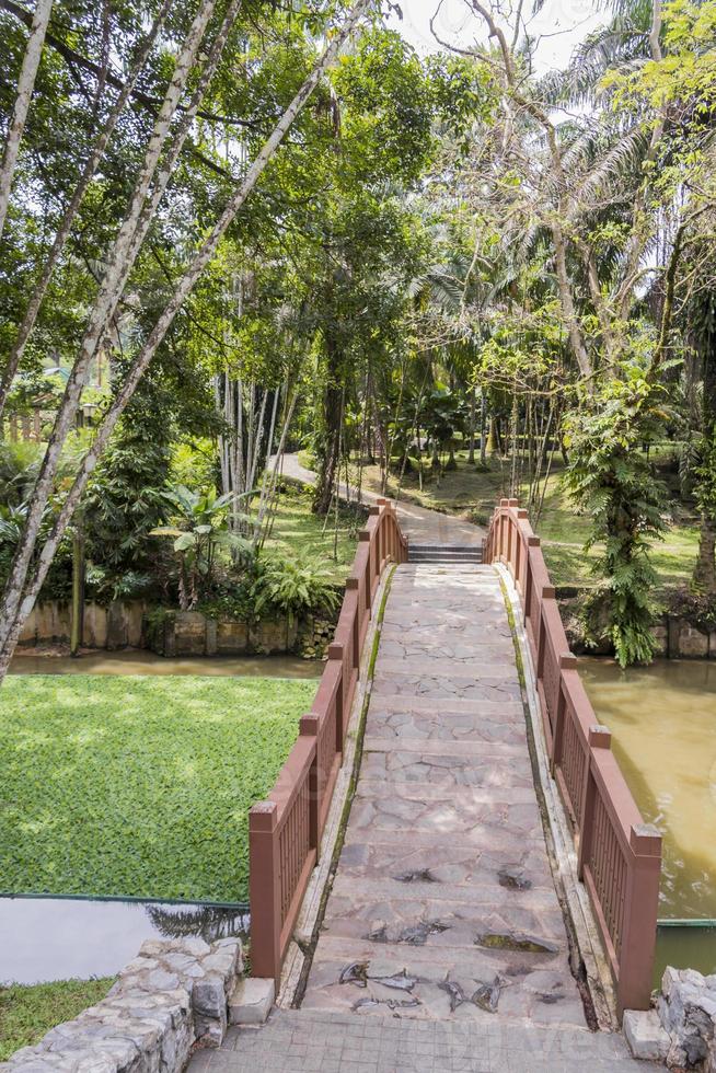 Puente marrón en los jardines botánicos de Perdana en Kuala Lumpur, Malasia foto