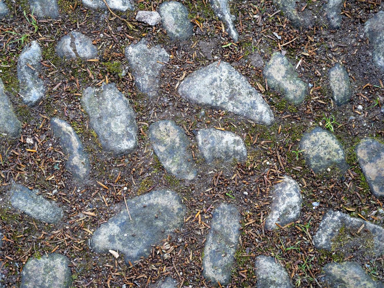 Cobblestones with leaf litter seen from above photo