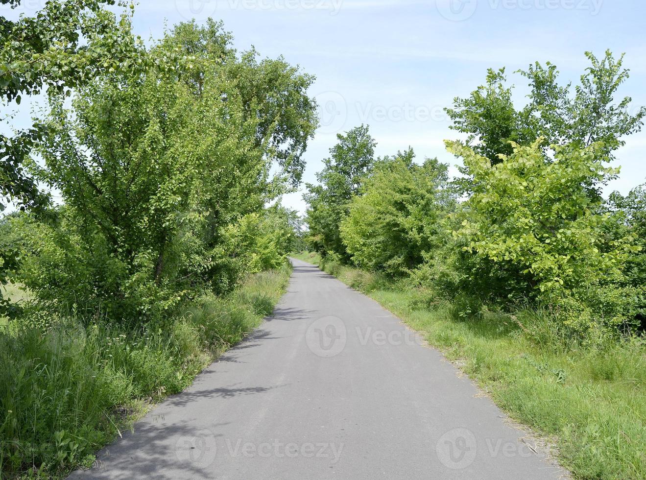 Empty asphalt road in the countryside photo