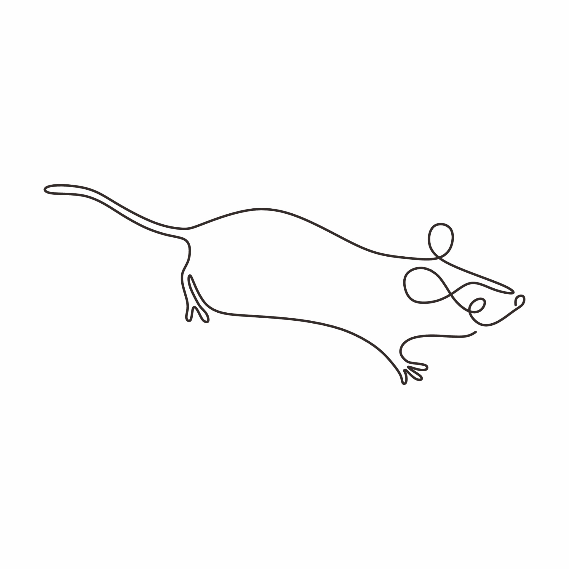 How To Draw A Rat  Drawing  678x600 PNG Download  PNGkit