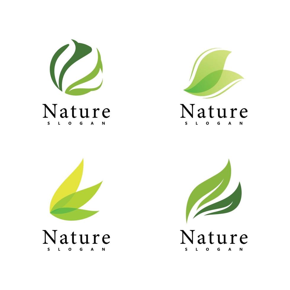 plantilla de diseño de vector de logotipo de naturaleza. icono de hoja