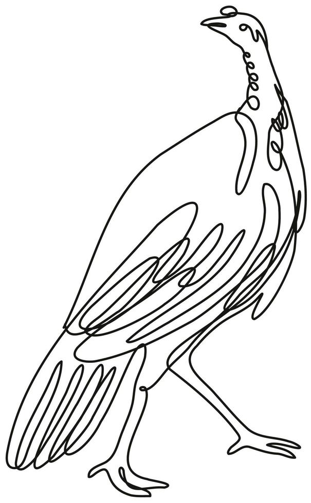 Turkey Viewed from Side Continuous Line Drawing vector