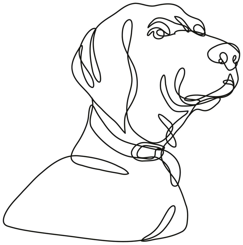 Labrador retriever cabeza de perro mirando hacia arriba dibujo de línea continua vector