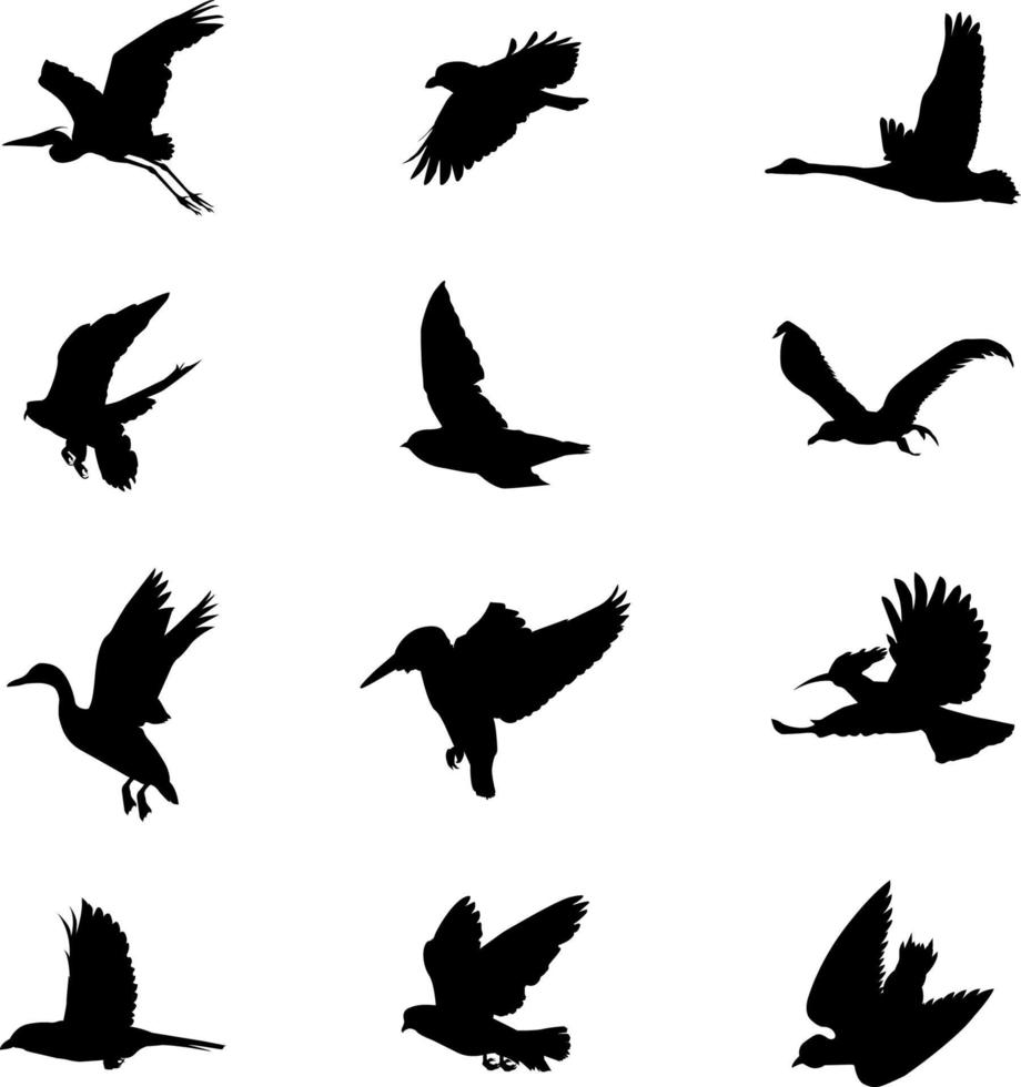 Flying birds silhouettes collection for creating artwork compositions vector