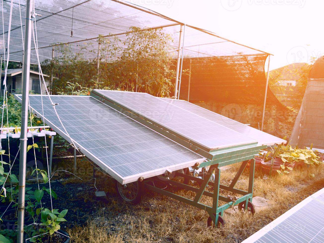 Solar cells for agriculture photo