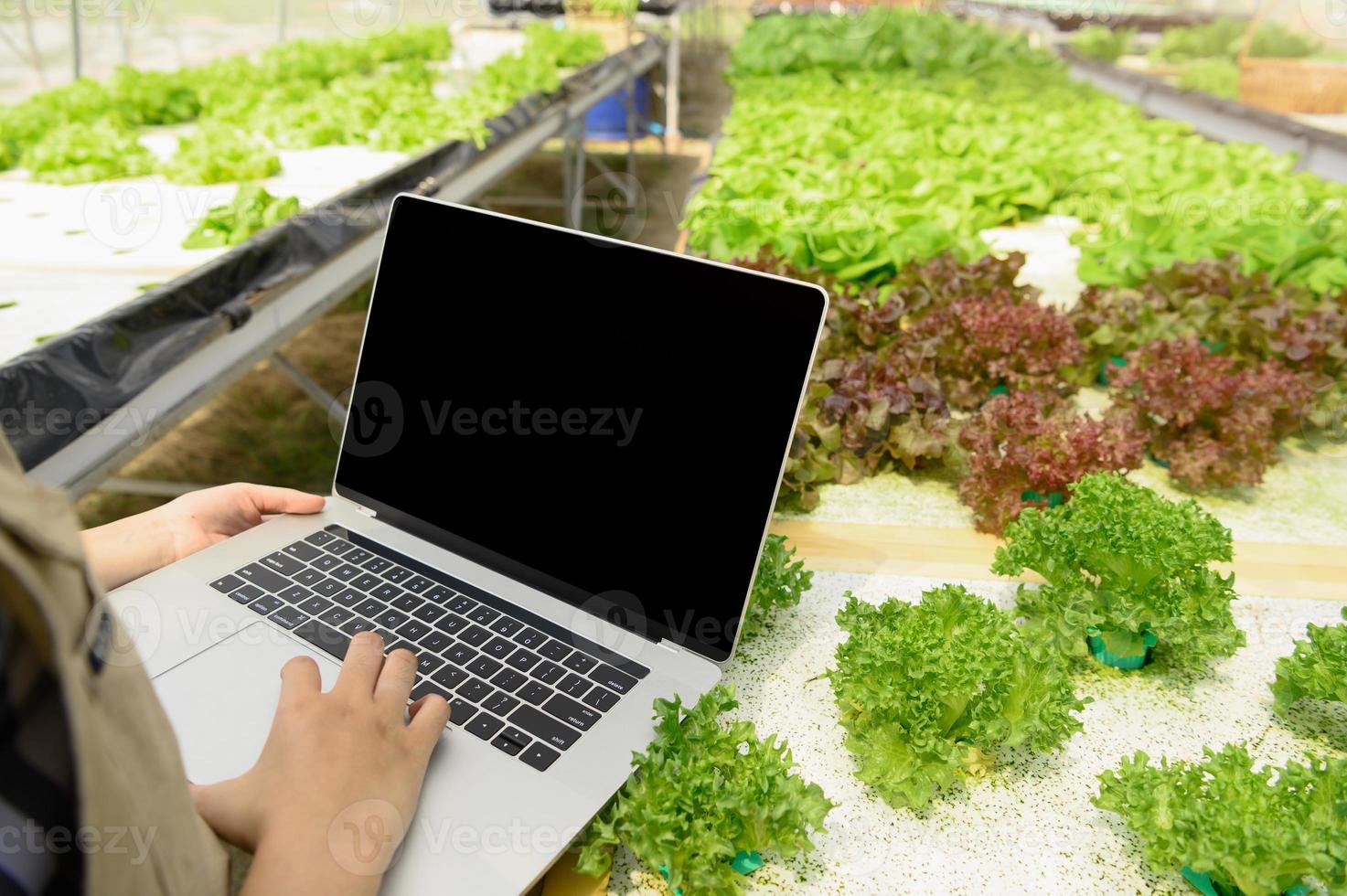 Closeup hydroponic female farmer hand collecting vegetable growth data photo