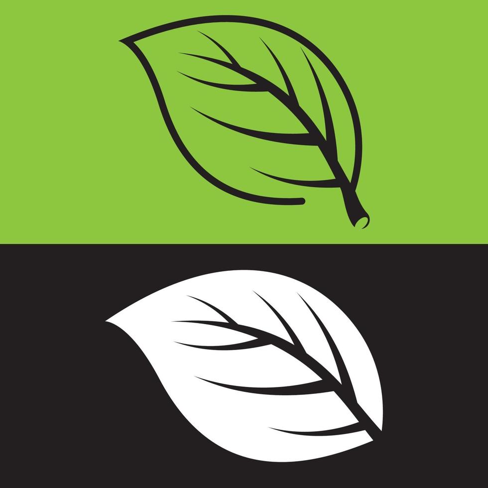 Leaf vector logo template icon design