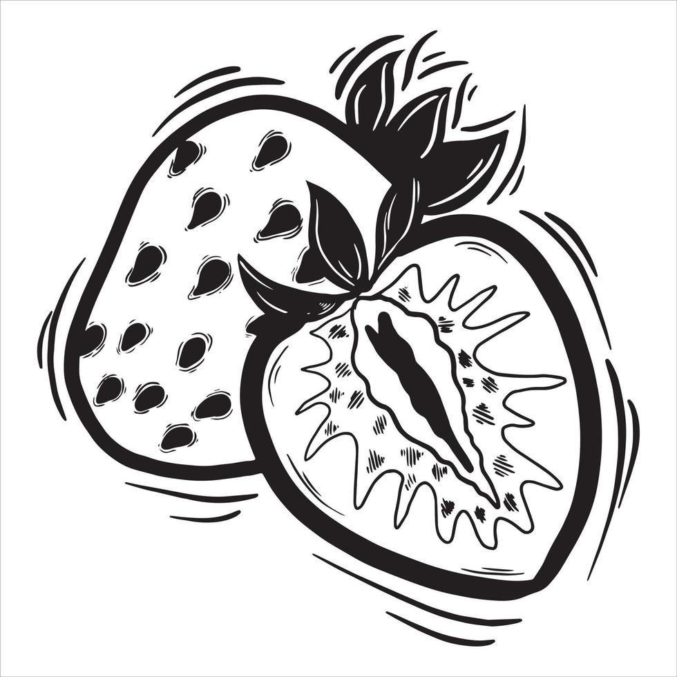 Ilustración de vector dibujado a mano blanco negro de rodaja de fruta de fresa