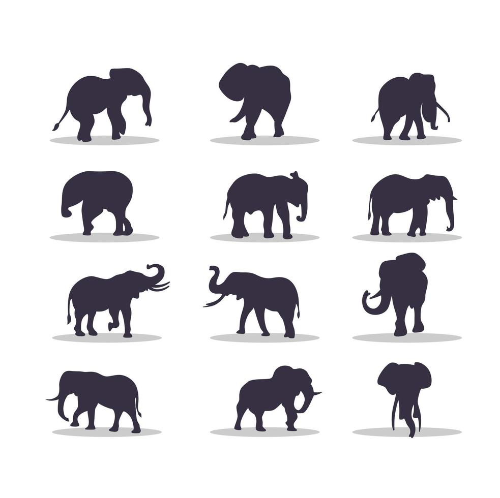 Elephant silhouette vector illustration design