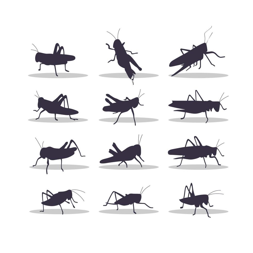 Grasshopper silhouette vector illustration design