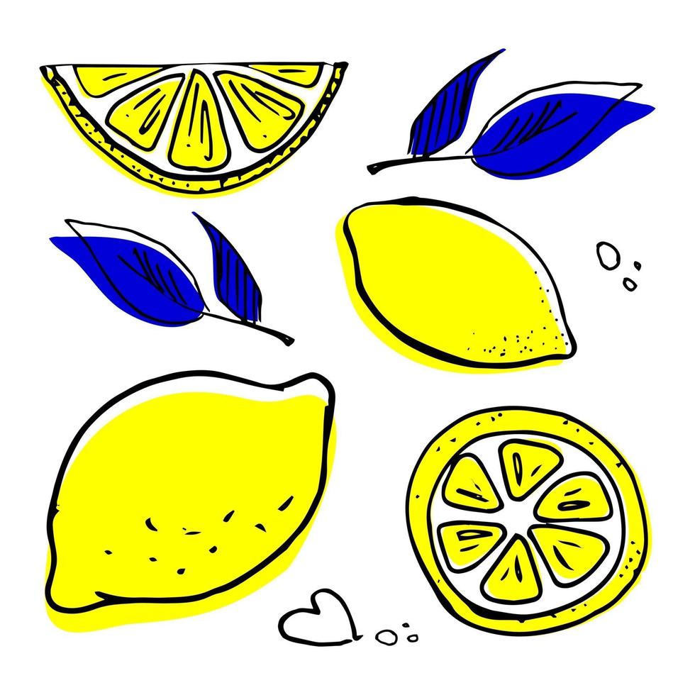 Hand drawn Lemon set. vector