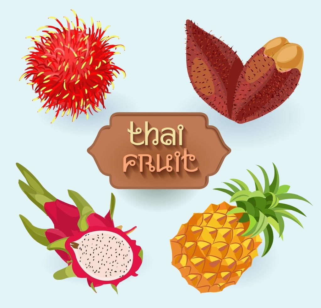 Thai fruits. Fruit from Thailand. Rambutan, dragon fruit, pineapple vector