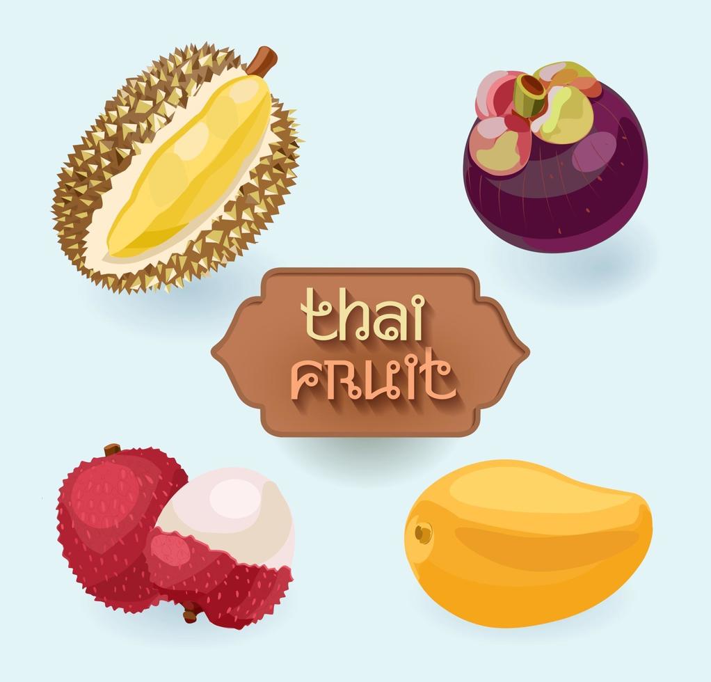 Thai fruits. Fruit from Thailand. Lychee, durian, mango, mangosteen vector