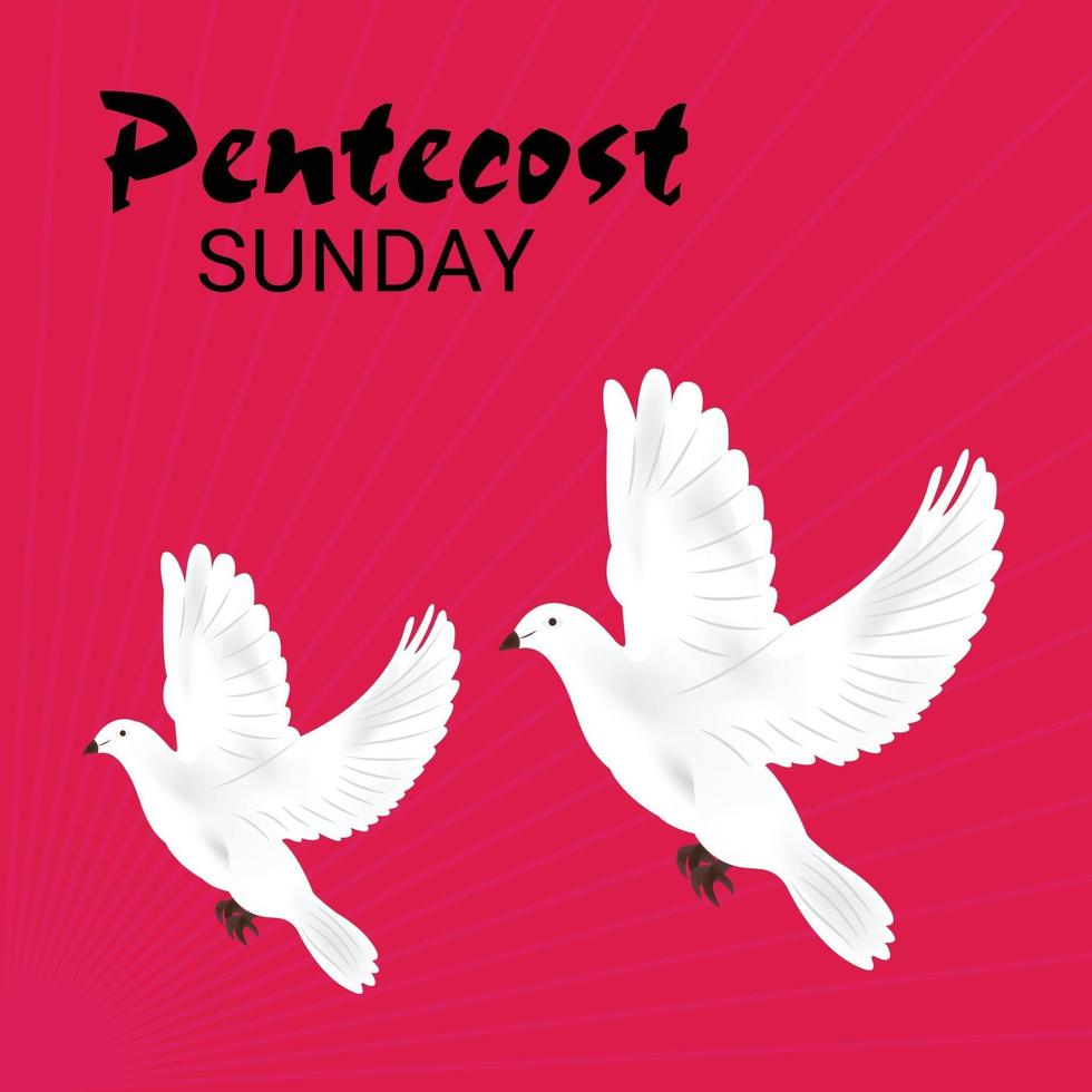 Pentecost Sunday Holy spirit dove. vector