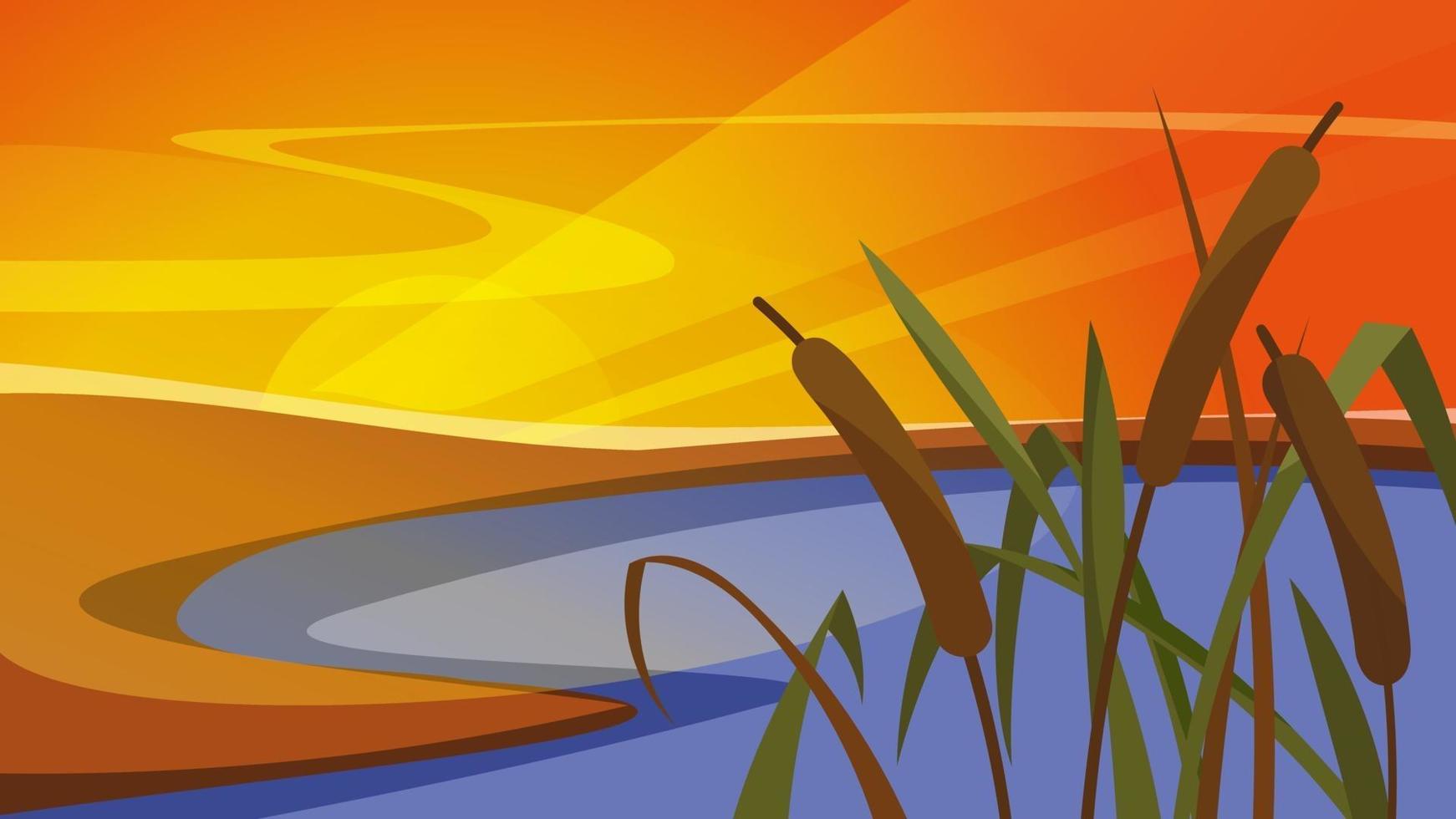 Landscape with reeds at sunset in vertical orientation. vector