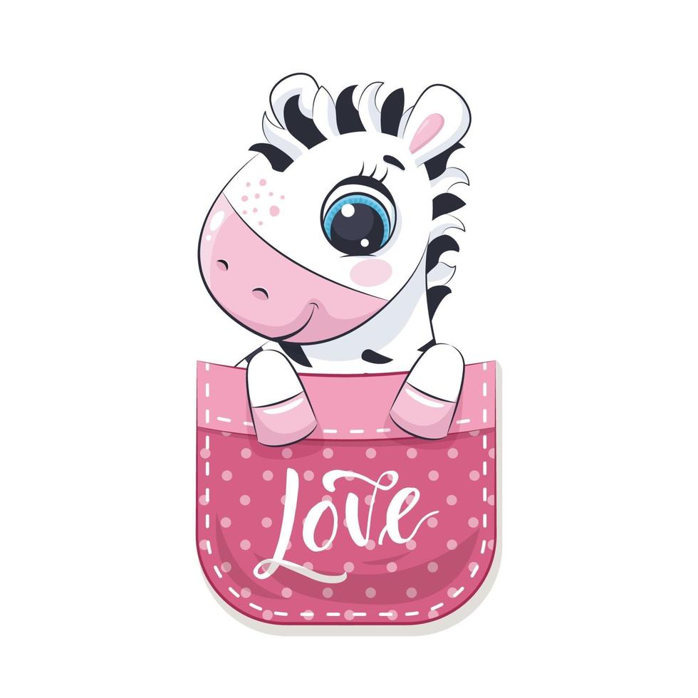 Cute baby zebra in pocket. Vector illustration.