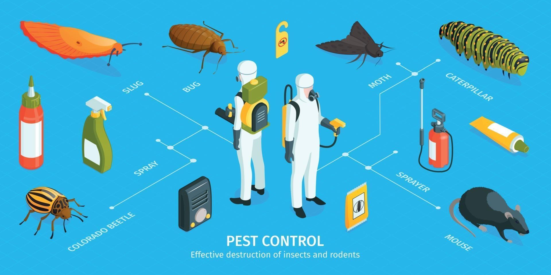 Pest Control Isometric Infographics vector